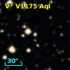 V* V1175 Aql