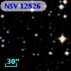 NSV 12826