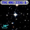 TYC  495-2231-1