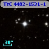 TYC 4492-1531-1