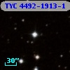 TYC 4492-1913-1