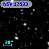 NSV 12833
