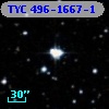 TYC  496-1667-1