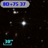 BD+75    37