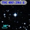 TYC  497-291-1