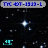 TYC  497-1919-1