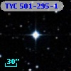 TYC  501-295-1