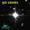 HD 195491