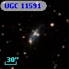 UGC 11591