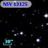 NSV 13125
