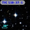 TYC  510-37-1