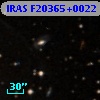 IRAS F20365+0022