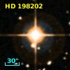 HD 198202