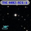 TYC 4492-921-1