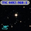 TYC 4492-960-1