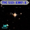 TYC  513-1307-1