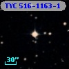 TYC  516-1163-1