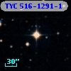 TYC  516-1291-1
