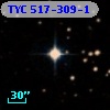 TYC  517-309-1