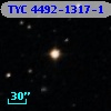 TYC 4492-1317-1