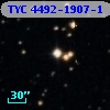 TYC 4492-1907-1