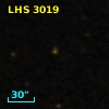 LHS  3019