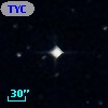 TYC  338-101-1
