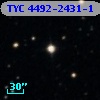 TYC 4492-2431-1
