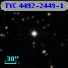 TYC 4492-2449-1