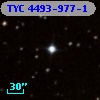 TYC 4493-977-1