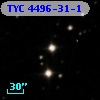 TYC 4496-31-1