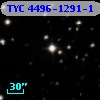 TYC 4496-1291-1
