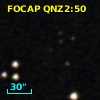 FOCAP QNZ2:50
