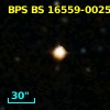 BPS BS 16559-0025