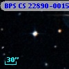 BPS CS 22890-0015