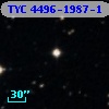 TYC 4496-1987-1