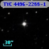 TYC 4496-2288-1