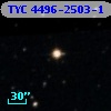 TYC 4496-2503-1