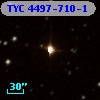 TYC 4497-710-1