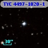 TYC 4497-1020-1