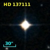 HD 137111