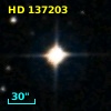 HD 137203