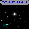 TYC 4497-1299-1