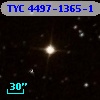 TYC 4497-1365-1