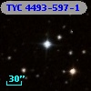 TYC 4493-597-1