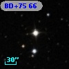 BD+75    66