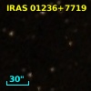 IRAS 01236+7719