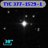 TYC  377-1529-1