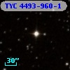 TYC 4493-960-1