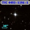 TYC 4493-1186-1